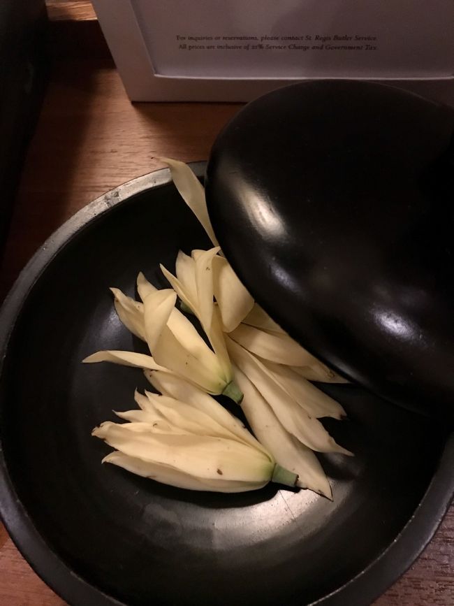 この花はなんだろう…<br />ジャスミンのような、とてもいい香りがします。