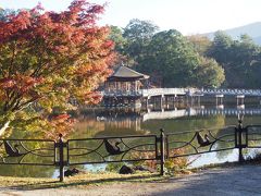 浮見堂。
ちょっと木々が色づいていました。