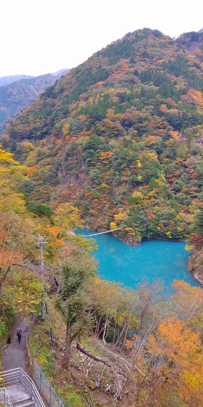 コバルトブルーのチンダル湖 寸又峡へ 寸又峡温泉 静岡県 の旅行記 ブログ By Belleduneさん フォートラベル