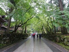 所か全く変わって、福井県の永平寺へ向かいます。

境内は落ち着いた雰囲気ですね。