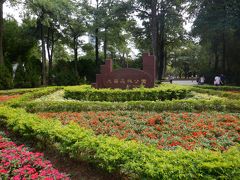 お腹を空けるために歩きます　大安公園散歩　歩くのに飽きてきたので、黒い服を着てほうきで空中散歩したいところですが、黄色い自転車でビューン