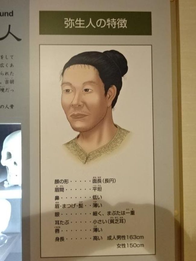 渥美半島の遺跡で縄文時代を初めて勉強できた 南山大学フィールドワーク２ 渥美半島 伊良湖 愛知県 の旅行記 ブログ By 三毛猫美花さん フォートラベル