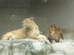 神戸市立王子動物園に着きました。