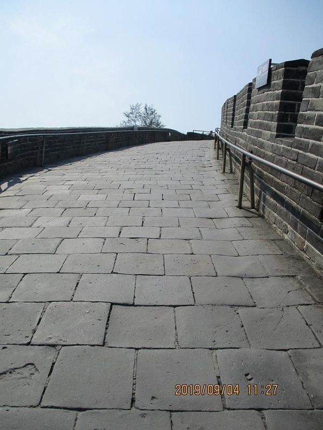 ↑ 重い脚と息切れ。<br />　一歩一歩すすめるすぐ目の前上に次の一歩が迫ってきて、まさに這い上がる感じ。<br />　西洋人の老人たちも息を切らせながら頑張っている。<br />　何のこれしき男坂、ともう一歩足をあげる。