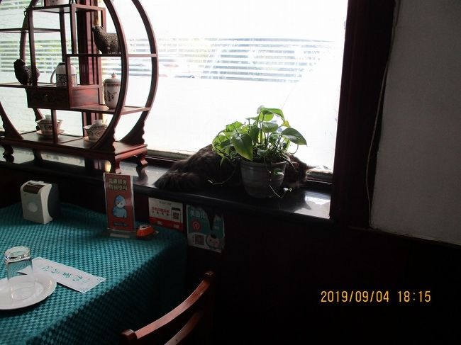 ↑ ひっそりとした店内。<br />　ときおり店の猫がテーブルの上や出窓を散歩するようなお店。<br />　猫は思ったよりも敏捷で写真撮影は失敗。
