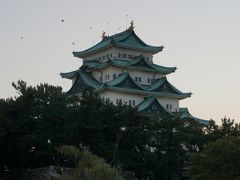 天守閣あたりをカラスがたくさん飛び回ってました