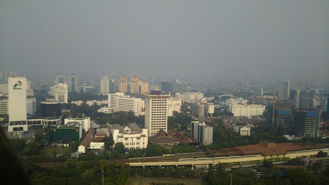 頂上に出ました。いやーーー！！素晴らしい眺め・・・といきたいところですが、ヘイズがかかっていて視程はそんなに良くありません。5kmないと思います。こちらは鉄道駅が見える南東側。やや下町っぽいです。