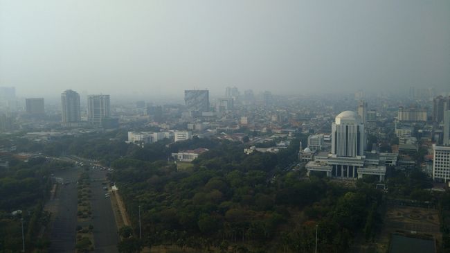 こちらは北西側。ドーム状の頂部を持つビルは最高裁判所。その左にムルデカ宮殿。