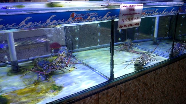 巨大伊勢海老。日本よりは破格とはいえ高いですね。100gで231,500ルピア。仮に500g級だったとしても1万円です。他にも蟹がありましたが、小さめでも4千円くらい。シンガポールみたいにチリクラブにしようと思いましたがやや割高でした。まあモノによりますね・・・。