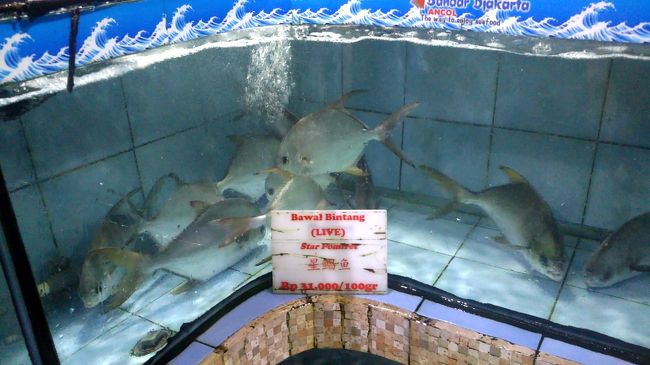 活魚は比較的安価です。相棒が「これはインド洋で超有名でウマい魚だぜ！これにしよう！」とのことで決定。100gで31,000ルピア。だいたい平均して500gなので、1,500円弱です。これはお安いですね。シマガツオ科の魚みたいです。Star pomfretとのこと。この他にエビも６尾ばかりゲット。