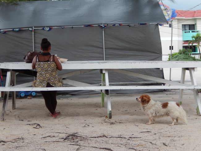 南国に来たらブレードヘアーという編み込みをやってもらいたいなと、思っていた。<br />そしたら写真のおばちゃんがやらない？って食事してるうちらに喋りかけてきた。<br /><br />10＄って安くないけど、せっかくだからお願いすることに。