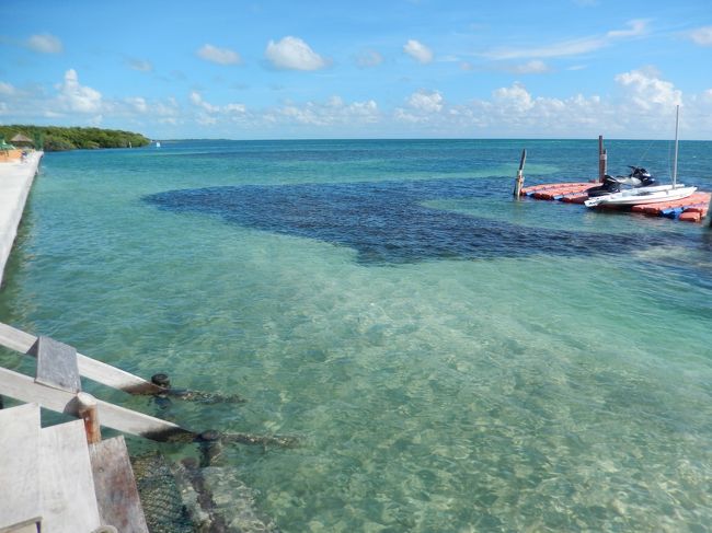 しかし海に入るには風が強い。<br />シュノーケルとかやりたくて、水着も持ってきたけど<br />友人も具合悪いし、のんびり島を観光することにした。