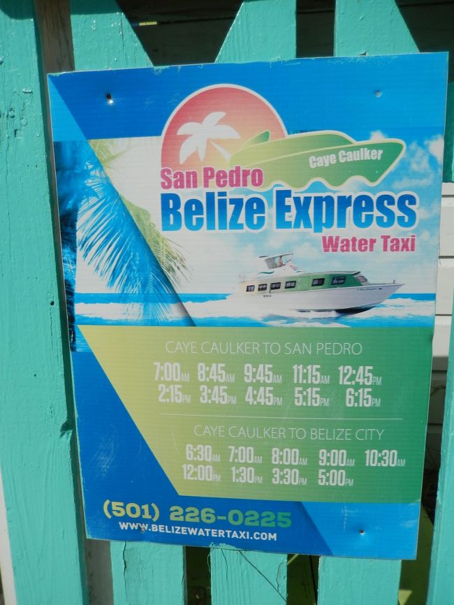 ベリーズシティに戻る船の時刻表。