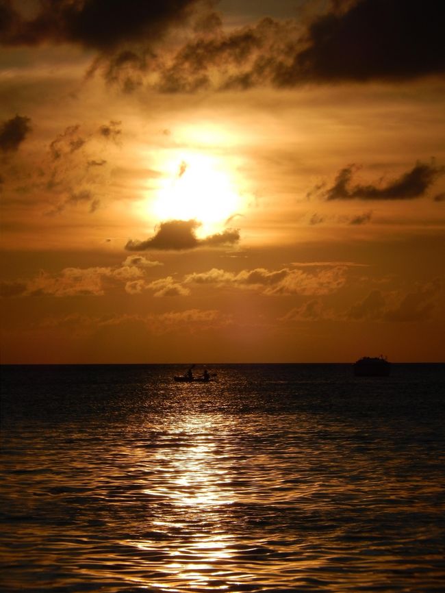 赤くは染まらなかったけど、それでもキレイ。