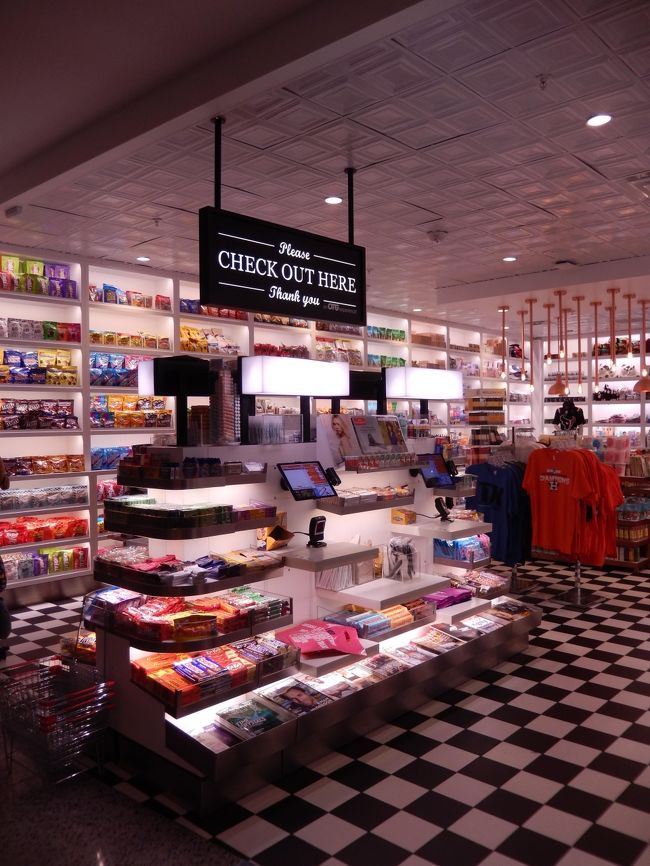 翌朝はﾎﾃﾙオーナーさんに空港まで送ってもらう。（一人30＄）<br />（昨夜、ギリギリまで格安のメトロバス（2＄）でいこうか思案していたが、バス停がわかりづらいのと真っ暗な早朝に歩くこと、時間が読めないことを天秤に図り、タクシーをお願いした。空港近くの高いホテルを取った方がよっぽど良かったかも。）<br /><br />帰路の長いこと長いこと。<br />成田に着いてからも、また新幹線。<br />頭に膜が張ったように、疲れを感じる。<br /><br />そしてあまり風邪とは縁のなかった私が、ひどい風邪を発症するのである。<br />食も細り、シャワーを浴びる気力も出ず、ひたすら寝ていた。