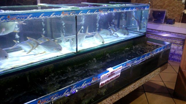 いや～！これは素晴らしい。南国の海の幸が色々あります。見ているだけで水族館状態です。しばし楽しみます。