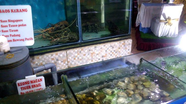 伊勢海老や貝がたくさん！ただし、明日帰国の身にとって貝に手を出すのは少し怖いですね。