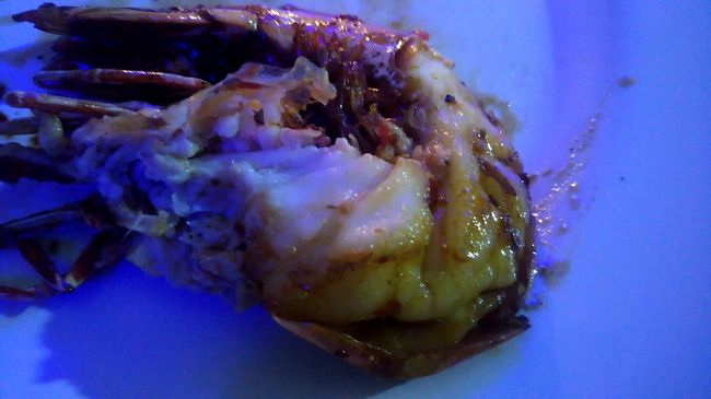 手をベタベタにしながらかぶりつきます・・・凄まじく美味しい！！これはアタリでした。プリプリの食感に思わずニンマリ。