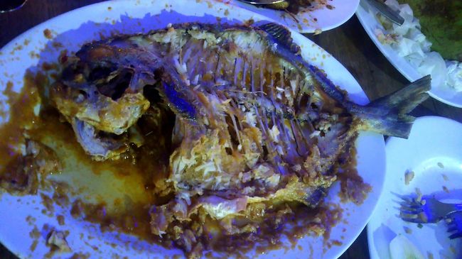 もう無我夢中で食べまくります。細かい骨もなく、非常に食べやすい魚でした。