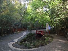 奥湯河原 色づき始めた紅葉 もみじの郷 万葉公園 湯河原温泉 神奈川県 の旅行記 ブログ By ムーミン３さん フォートラベル