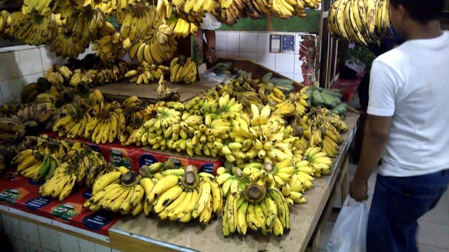 バナナも様々な種類。モンキーバナナは可愛いですね。持って帰れないのが残念！