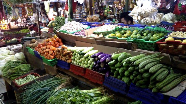 色々な野菜。種類も形も少し異なります。