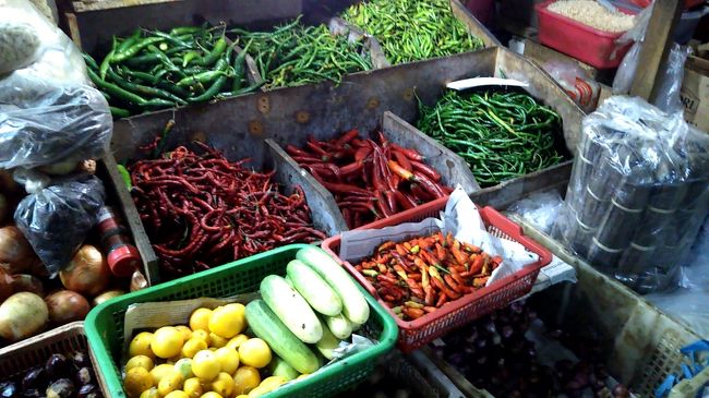 トウガラシ系。辛そうですね。