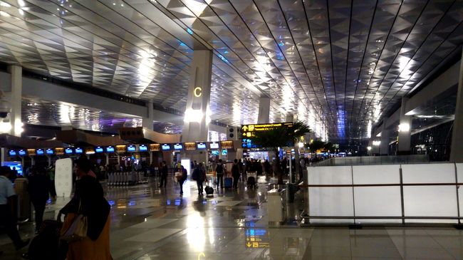 とにかく近代的なつくり。ANAカウンターに進みます。