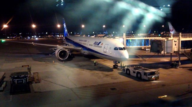 帰りもB787-9君です。