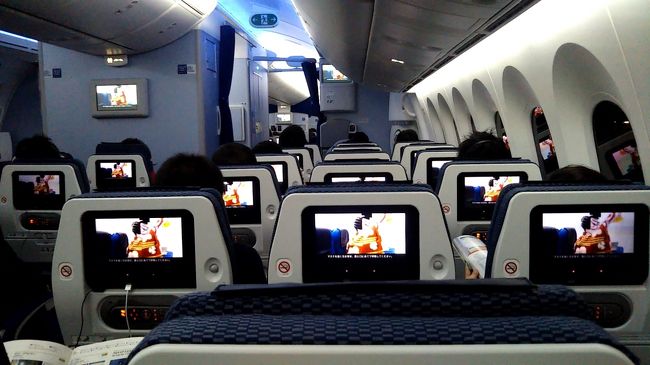 搭乗率は6～7割でした。