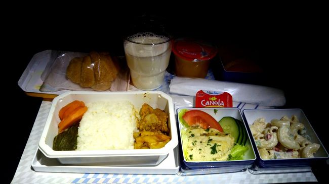 あまり眠れませんでしたが、着陸前には朝食。ご飯にカレー風味のチキンでした。牛乳と共に。パンも付いています。