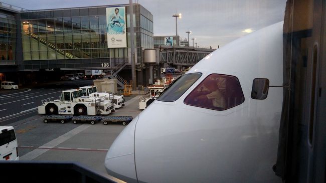 お疲れ様でしたのB787-9君。