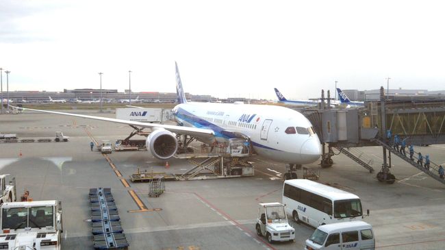 これにてインドネシア旅行も終了です。<br />読んで下さりありがとうございました。<br />ジャカルタへの旅の際の何かの参考になれば光栄です！