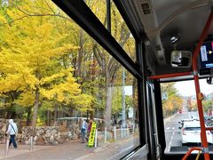 バスは丸山公園内を上がって行きます　

ここは「神宮前」