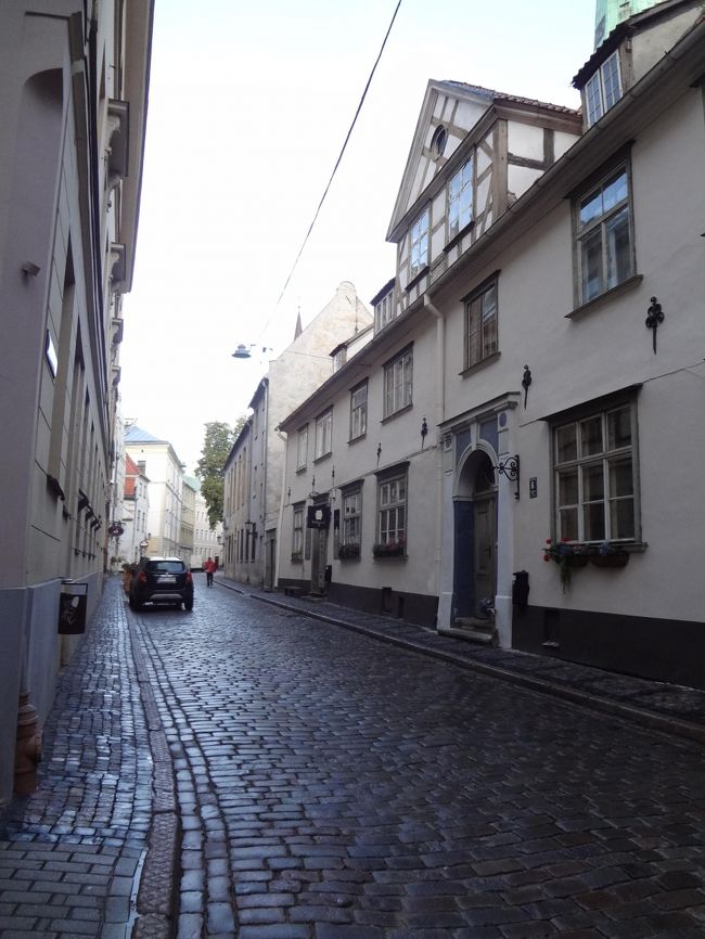 どっちに行こうかなぁ…?