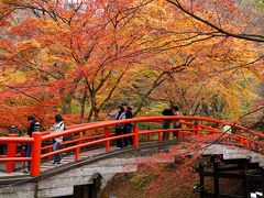 しばらく歩くと、伊香保の紅葉の名所『河鹿橋』は見えて来た。
やはり、色褪せ始めといったところだが、そこそこ綺麗だ。
それにしても、観光客の姿が思ったよりも少ないのは意外だった。