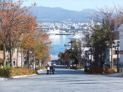朝市で買い物を楽しんだ後は、八幡坂へ！
海までストレートで綺麗な風景です。
もう少し時期が早ければ紅葉がより綺麗だったんでしょうね。