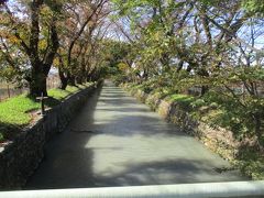 西武鉄道・拝島線　武蔵砂川駅を下車。徒歩で国営昭和記念公園・砂川口に向かう。駅より約１０分で玉川上水に出る。

