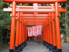 偕楽園を出て、常磐神社のほうへ。
おみくじを引いたら「大吉」でした！
今年も残りわずかですが、ちょっと嬉しかったです。
