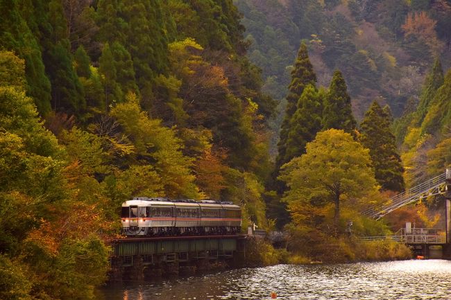 錦秋の飛騨金山・下原ダムとJR高山本線沿線に広がる紅葉を探しに訪れてみた