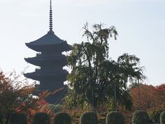 東寺の駐車場から見る五重塔。

軽く白くかすんでたので、いい感じでした！