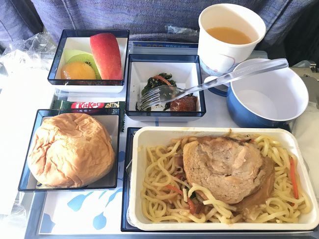 往復チャイナエアラインで行きました。<br />機内食は一回。焼きそばかカレーか選べましたので、焼きそばをチョイス。それなりに美味しかったです。パンがいちばん美味しかったかもですが…。<br />機内も、日本語が話せる乗務員さんがいたりと、英語も中国語も苦手な親でも不便なかったようです。