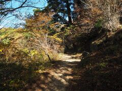 歩きやすい心地のいい登山道を行くと、