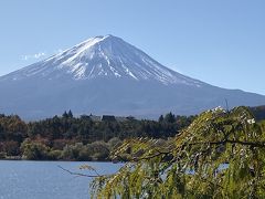 河口湖に入ると、やった～富士山が綺麗に見えます。