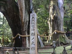 さて、岡豊城跡をまわった後は近くの高知道・南国インターから吉野川源流への入り口である大杉へ向かいます。

この大杉には樹齢３０００年の杉があります。
樹齢何百年の大樹は全国の神社等で「神木」としてよく見ますが、さすがに３０００年前はここだけ。
全国１古い樹木だそうです。