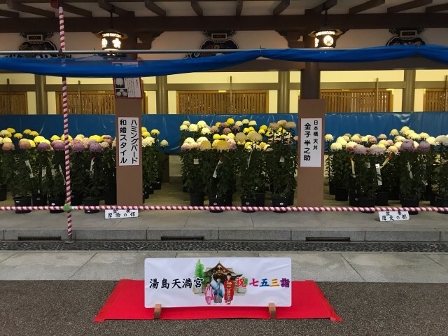 東京 湯島天神の菊まつり19 御茶ノ水 本郷 東京 の旅行記 ブログ By としさん フォートラベル