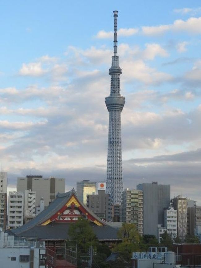 浅草探訪 浅草の遊園地 花やしき に入園しました 浅草 東京 の旅行記 ブログ By タビガラスさん フォートラベル