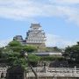 猫と城探し【兵庫（姫路城・Himeji castle）編】