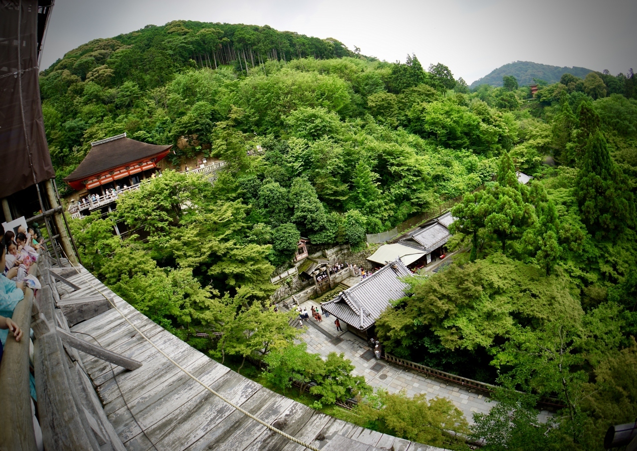 【清水の舞台を目指してみる】

狭い、気持ちだけの踊り場から、唯一見渡せる光景は、まさにこれだけ.....涙）