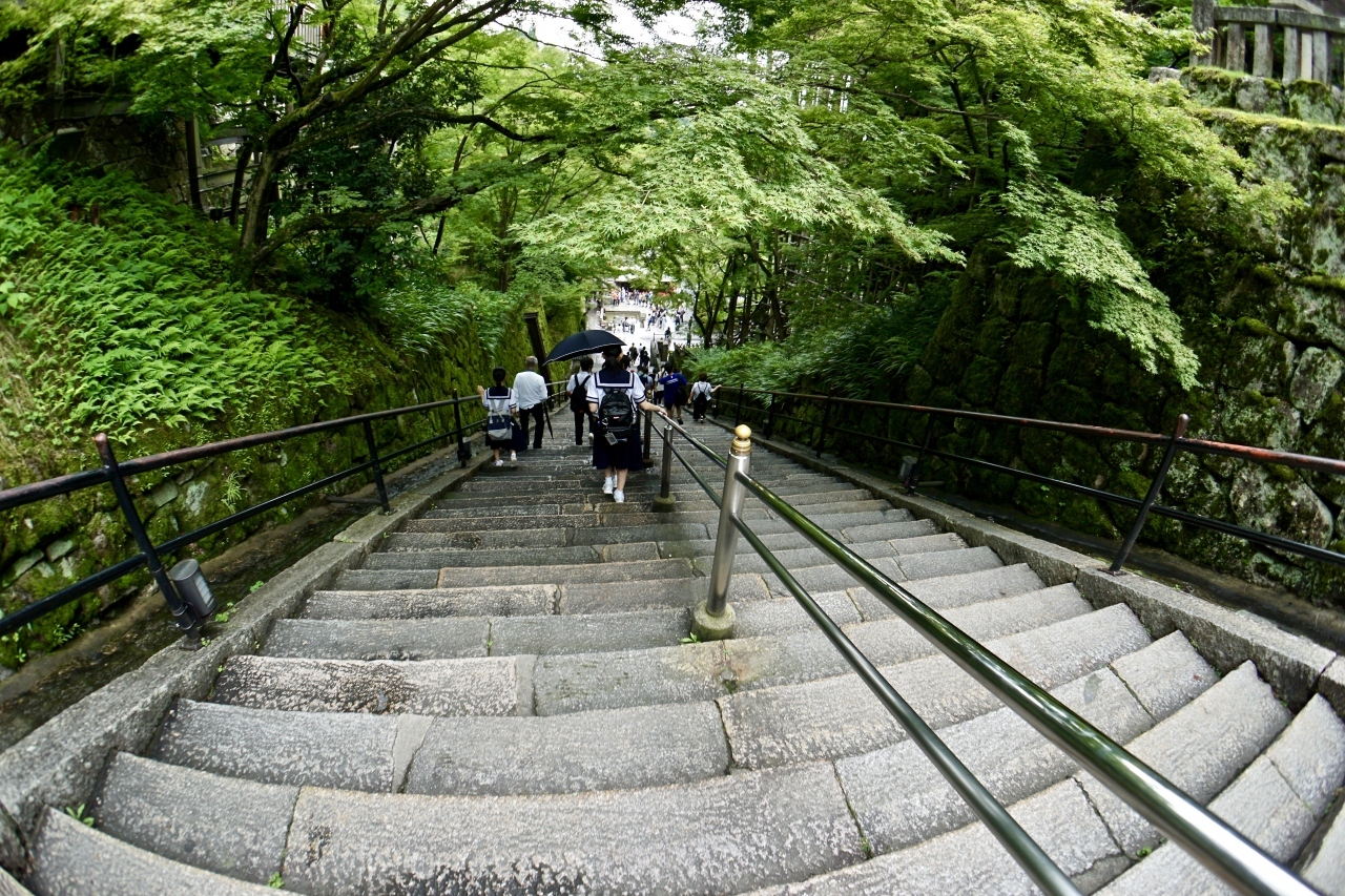 【清水の舞台を目指してみる】

さて、横の階段を降りて参ります。